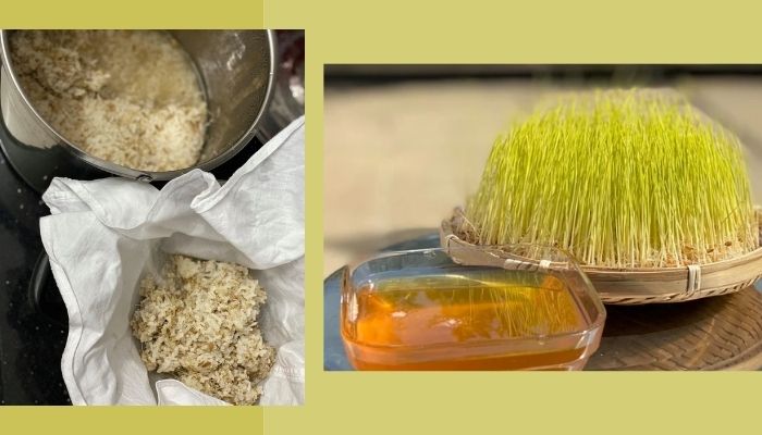 Trộn cơm nếp và mầm thóc Trộn cơm nếp và mầm thóc