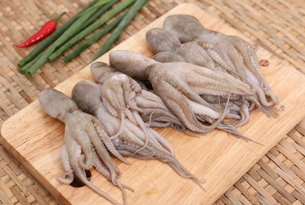 Cách chọn bạch tuộc