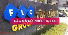 Các mã cổ phiếu họ FLC đầy đủ, chính xác nhất 2022