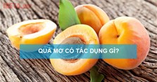 Quả mơ là gì? Hình ảnh, tác dụng và cách ăn quả mơ