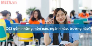 C03 gồm những môn nào, ngành nào? Các trường tuyển khối C03 năm 2022