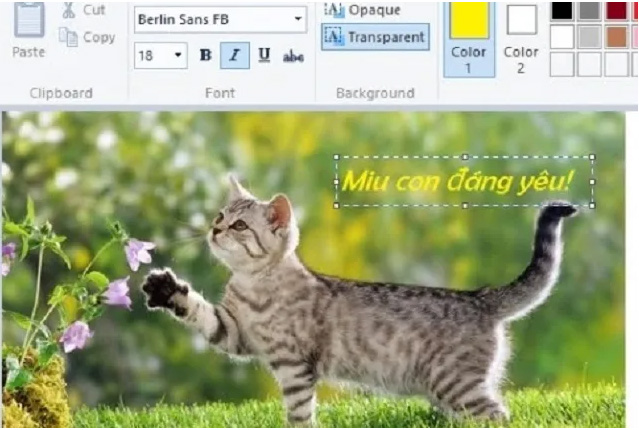 Click vào vị trí mà bạn muốn chèn chữ vào ảnh -> Gõ chữ bạn muốn chèn