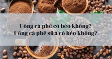 Uống cà phê có béo không? Uống cà phê sữa có béo không?