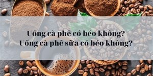 Uống cà phê có béo không? Uống cà phê sữa có béo không?