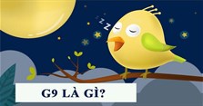 G9 là gì, viết tắt của từ gì? Ý nghĩa và cách sử dụng G9