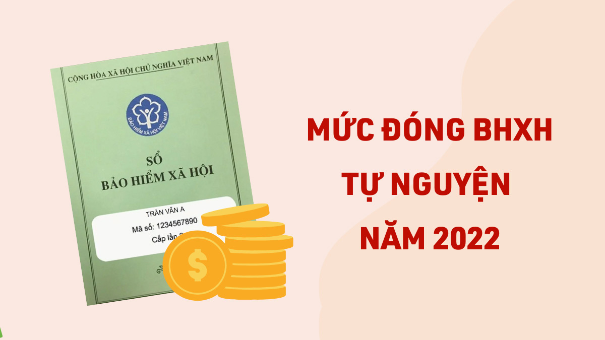 Tìm hiểu mức đóng bảo hiểm xã hội mới nhất 2022 Tìm hiểu mức đóng bảo hiểm xã hội mới nhất 2022