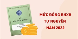 Mức đóng bảo hiểm xã hội, BHXH tự nguyện năm 2022 mới nhất