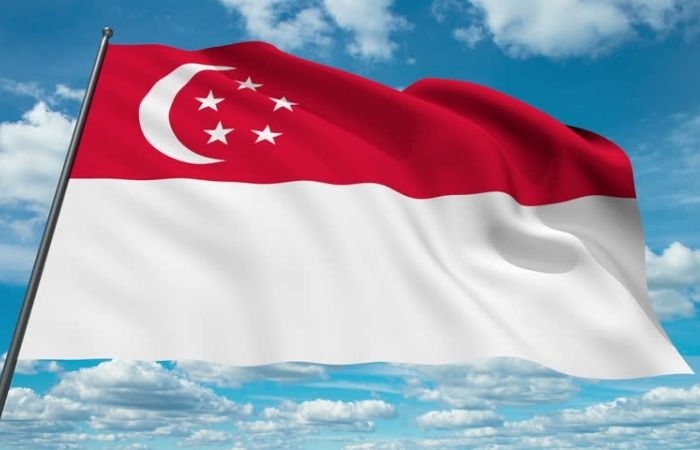 Cờ Singpore Cờ Singpore