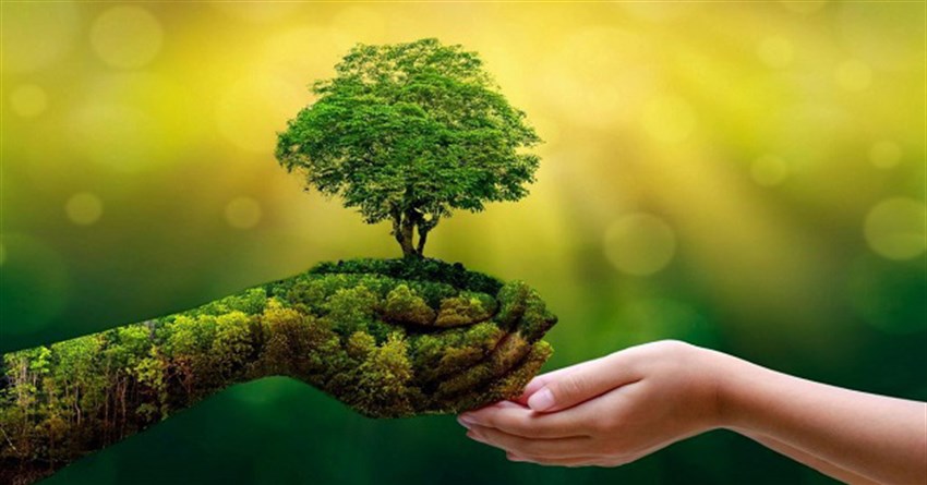 Những hình ảnh bảo vệ môi trường xanh sạch đẹp ý nghĩa nhất