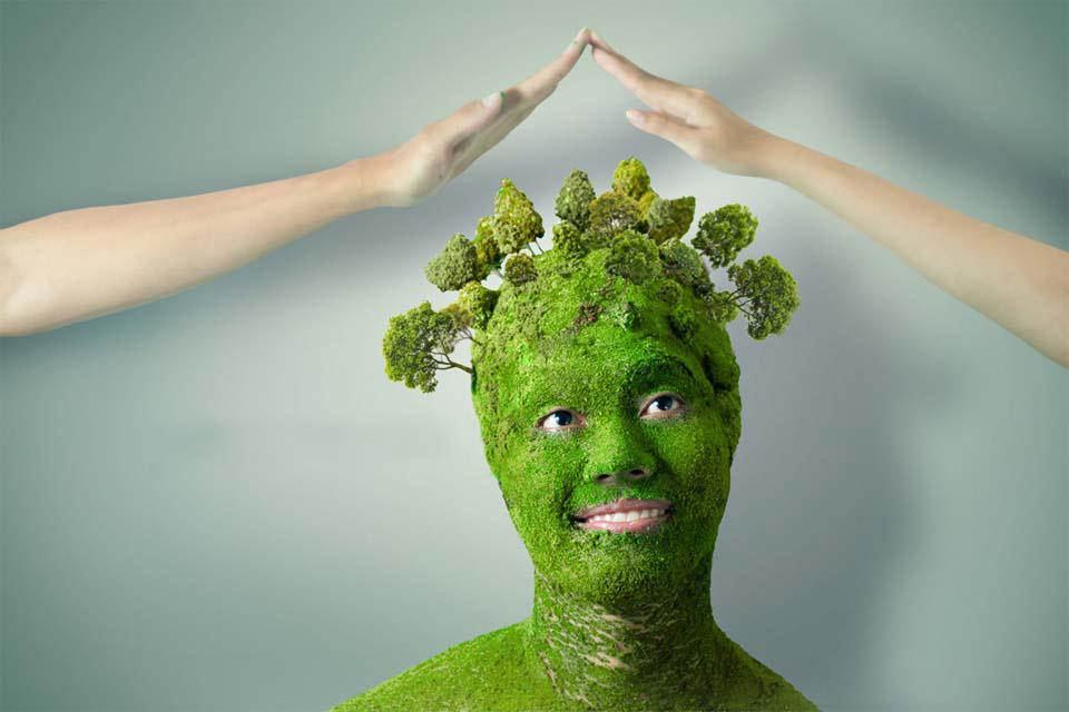 Hình ảnh về bảo vệ môi trường Hình ảnh về bảo vệ môi trường