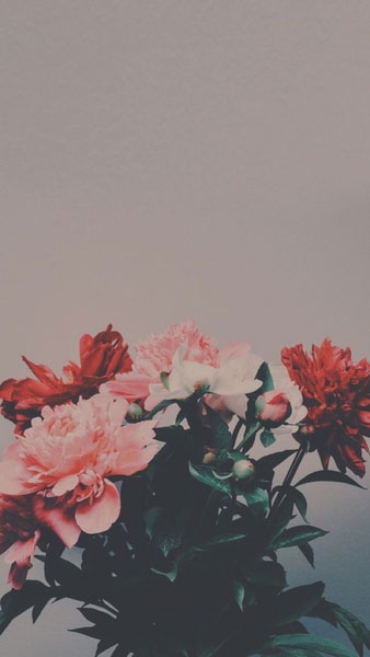 Hình nền vintage cho điện thoại