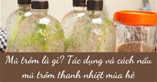 Mủ trôm là gì? Tác dụng và cách nấu mủ trôm thanh nhiệt mùa hè