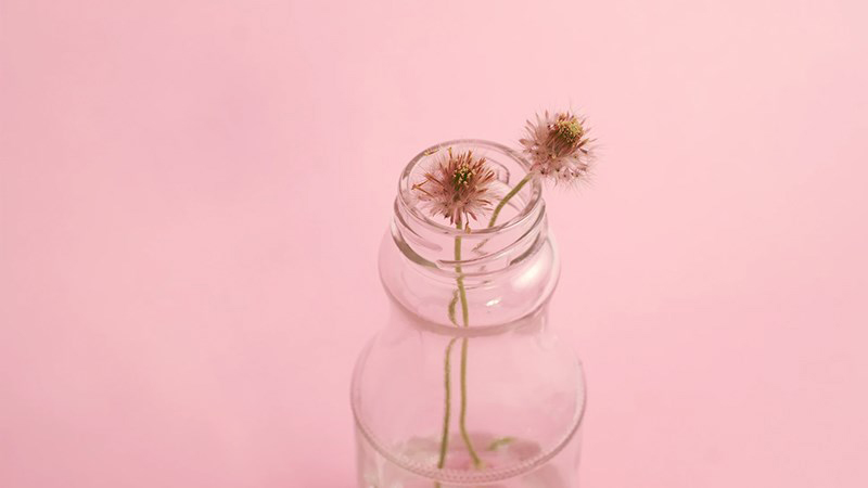 Hình nền máy tính màu hồng 11