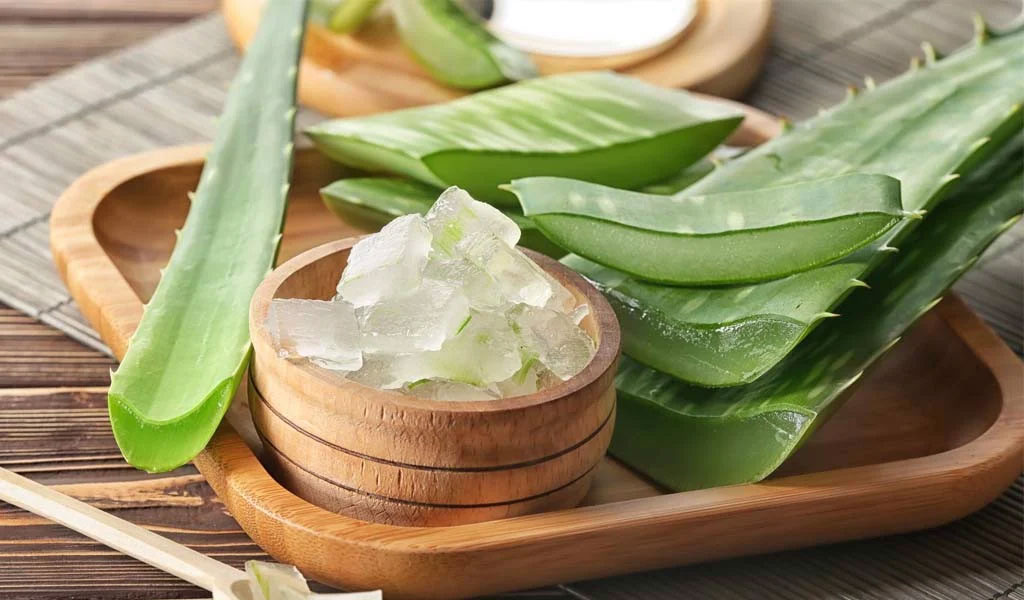 Mặt nạ nha đam sữa tươi