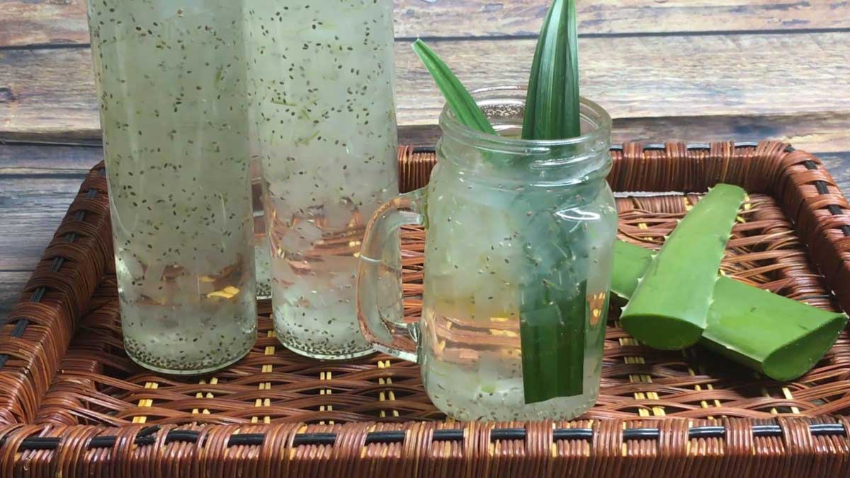 Cách nấu nấu nước nha đam hạt chia