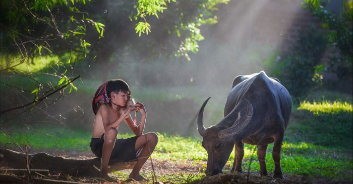 Hình ảnh mùa hè của bé