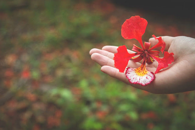 Hình ảnh mùa hạ buồn