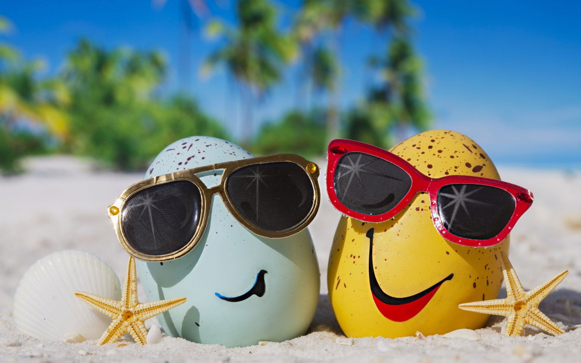 Hình ảnh mùa hè đẹp nhất