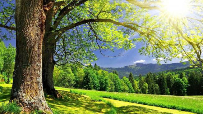 Hình ảnh mùa hè đẹp nhất