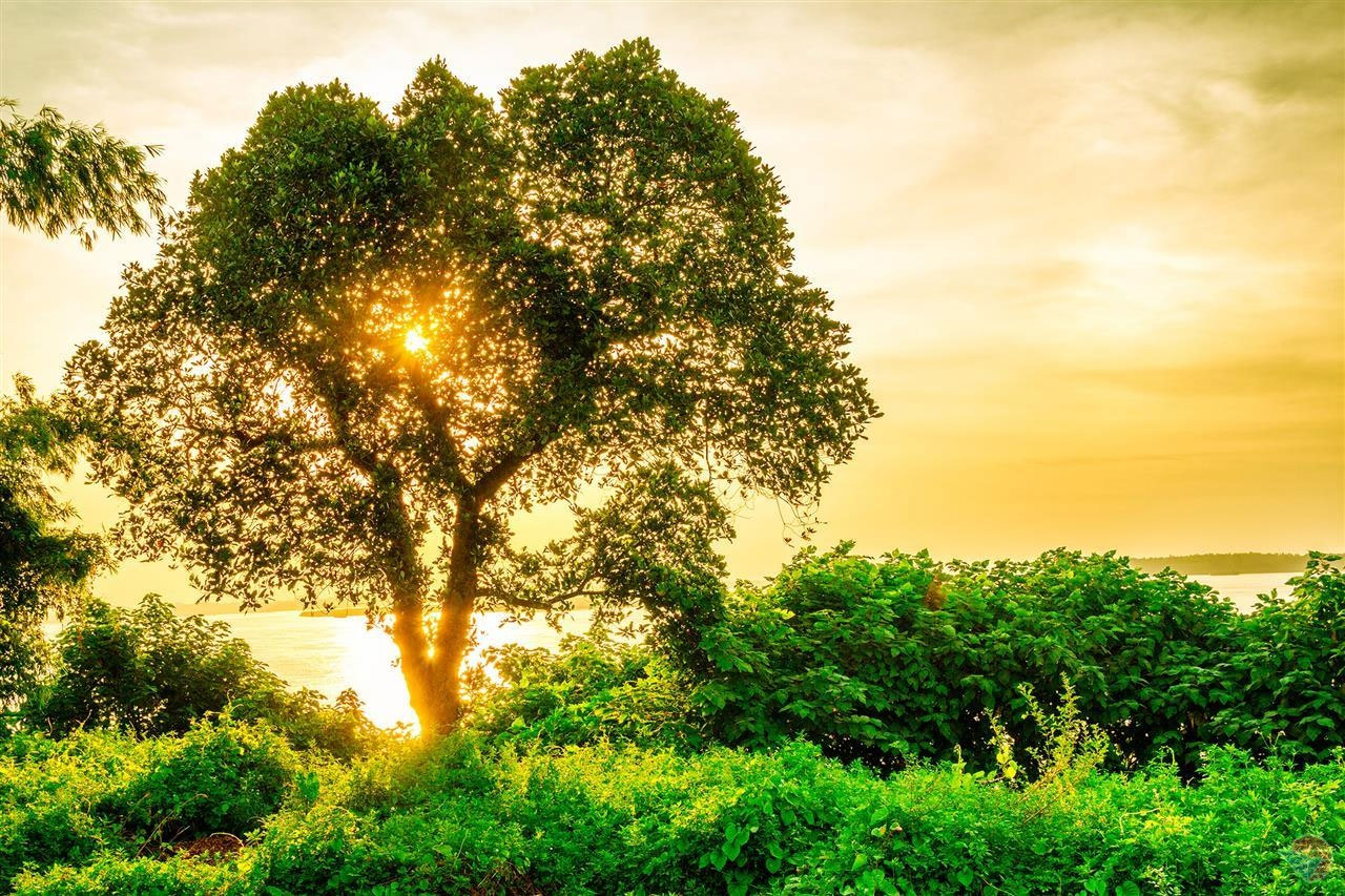 Hình ảnh mùa hè đẹp nhất