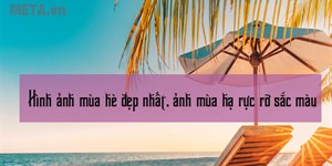 30+ Hình ảnh mùa hè đẹp nhất, ảnh mùa hạ rực rỡ sắc màu