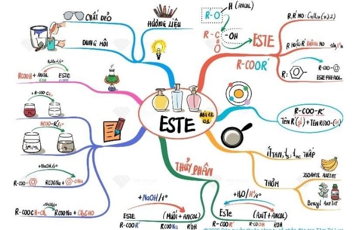 Mẫu sơ đồ tư duy