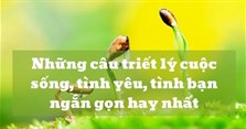 Những câu triết lý cuộc sống, tình yêu, tình bạn ngắn gọn hay nhất