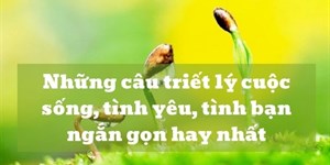 Những câu triết lý cuộc sống, tình yêu, tình bạn ngắn gọn hay nhất