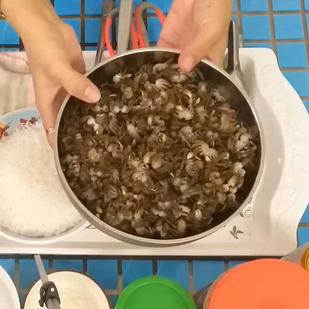 Sơ chế cáy Sơ chế cáy