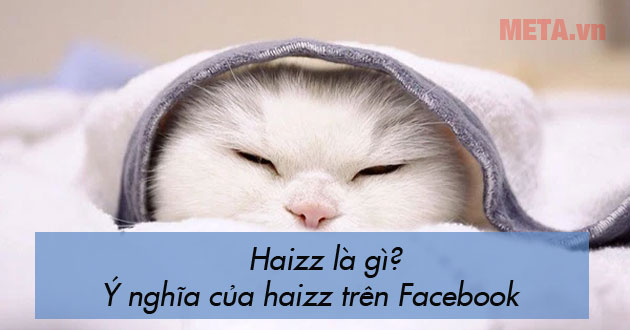 Haizz là gì