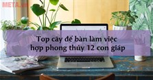 Top cây để bàn làm việc hợp phong thủy 12 con giáp