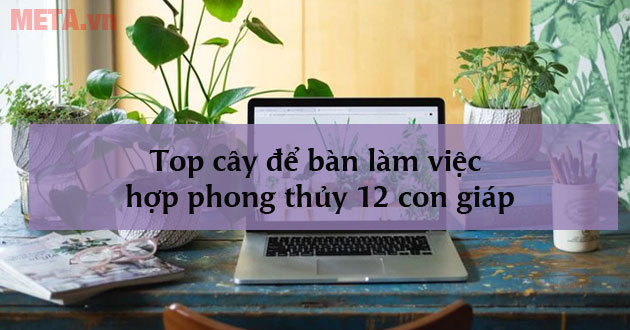 Cây để bàn cho 12 con giáp