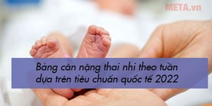 Bảng cân nặng thai nhi theo tuần dựa trên tiêu chuẩn quốc tế 2022