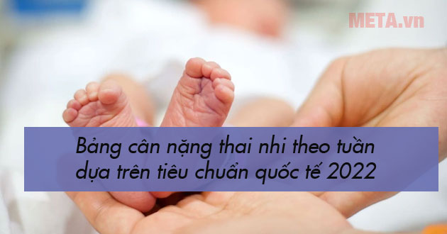 Bảng cân nặng thai nhi theo tuần Bảng cân nặng thai nhi theo tuần