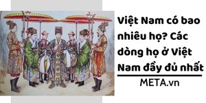 Việt Nam có bao nhiêu họ? Các dòng họ ở Việt Nam đầy đủ nhất