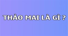 Thảo mai là gì? Những câu nói đậm chất thảo mai