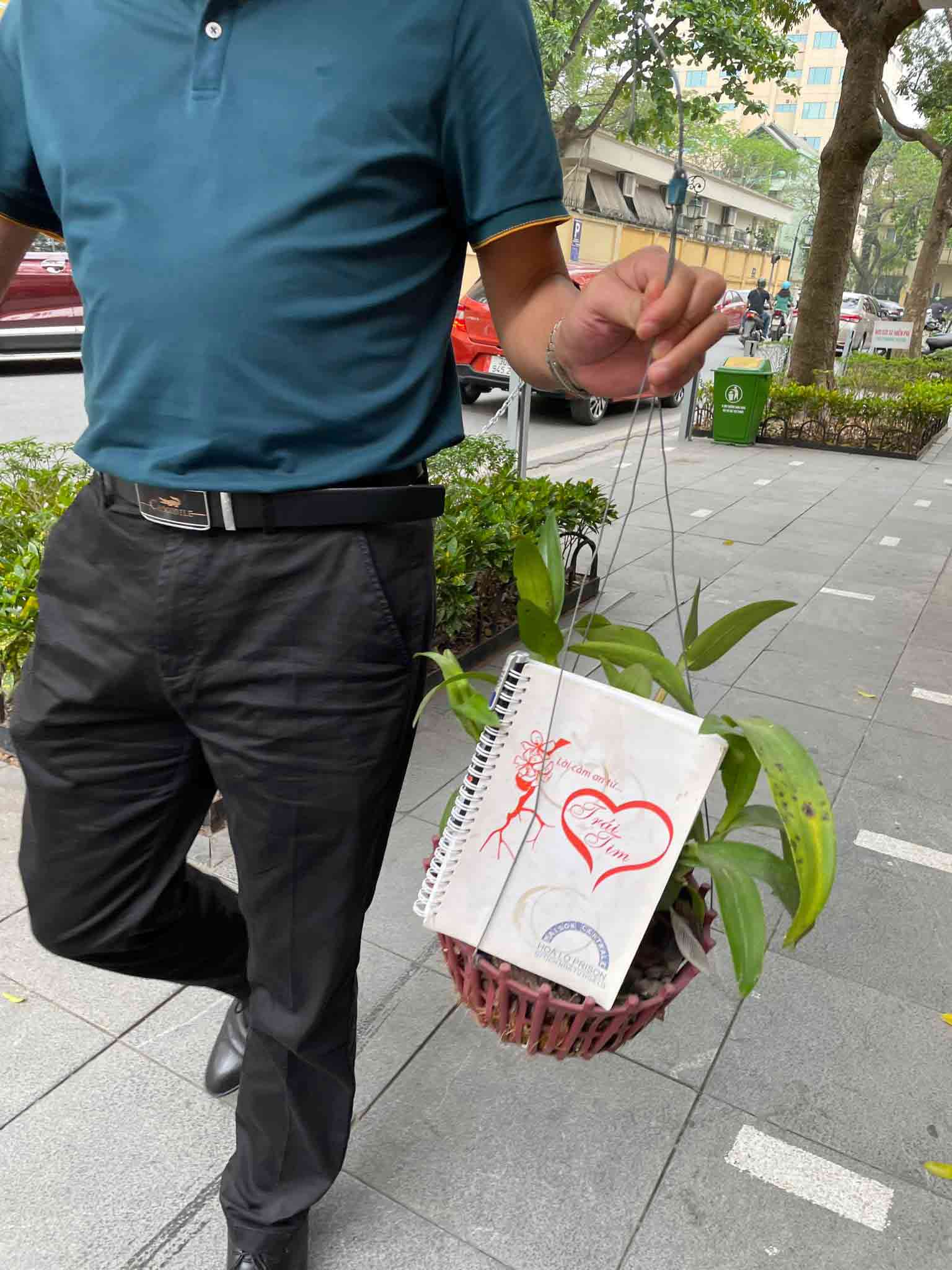 Ảnh No backpack day 11