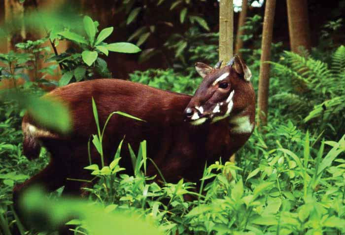 Hình ảnh sao la Hình ảnh sao la