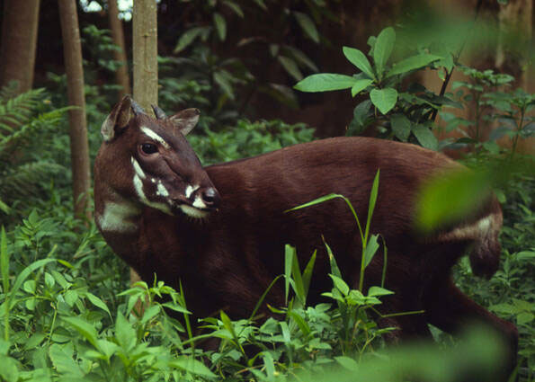 Hình ảnh sao la Hình ảnh sao la