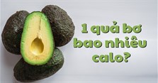 Bơ bao nhiêu calo? Thành phần sinh dưỡng của quả bơ