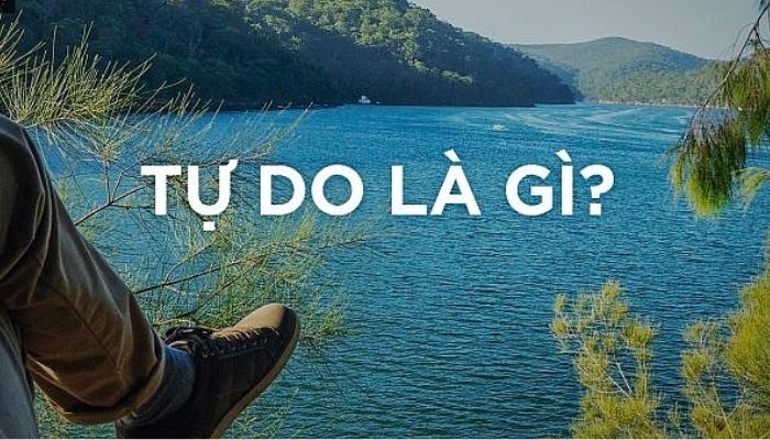 Tự do là gì?