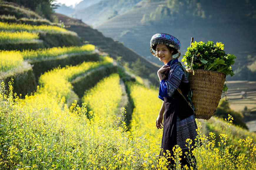 Bài thơ về cảnh đẹp quê hương Bài thơ về cảnh đẹp quê hương