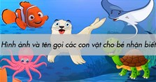 Hình ảnh và tên gọi các con vật cho bé nhận biết