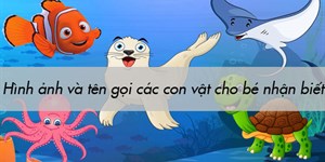 Hình ảnh và tên gọi các con vật cho bé nhận biết