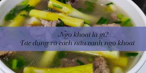 Ngó khoai là gì? Tác dụng và cách nấu canh ngó khoai không bị ngứa