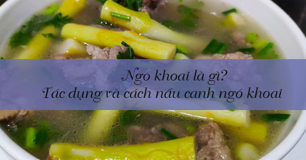 Ngó khoai là gì