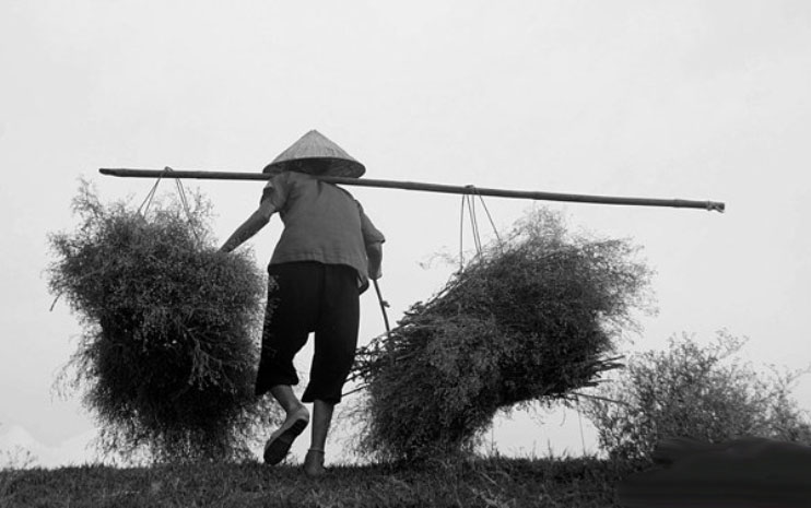 Hình ảnh mẹ già