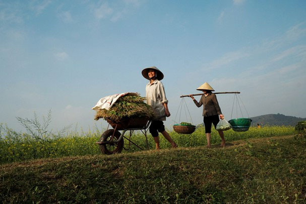 Hình ảnh mẹ tần tảo