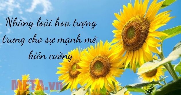 Loài hoa tượng trưng cho sự mạnh mẽ