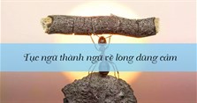 18 Câu tục ngữ thành ngữ về lòng dũng cảm hay nhất